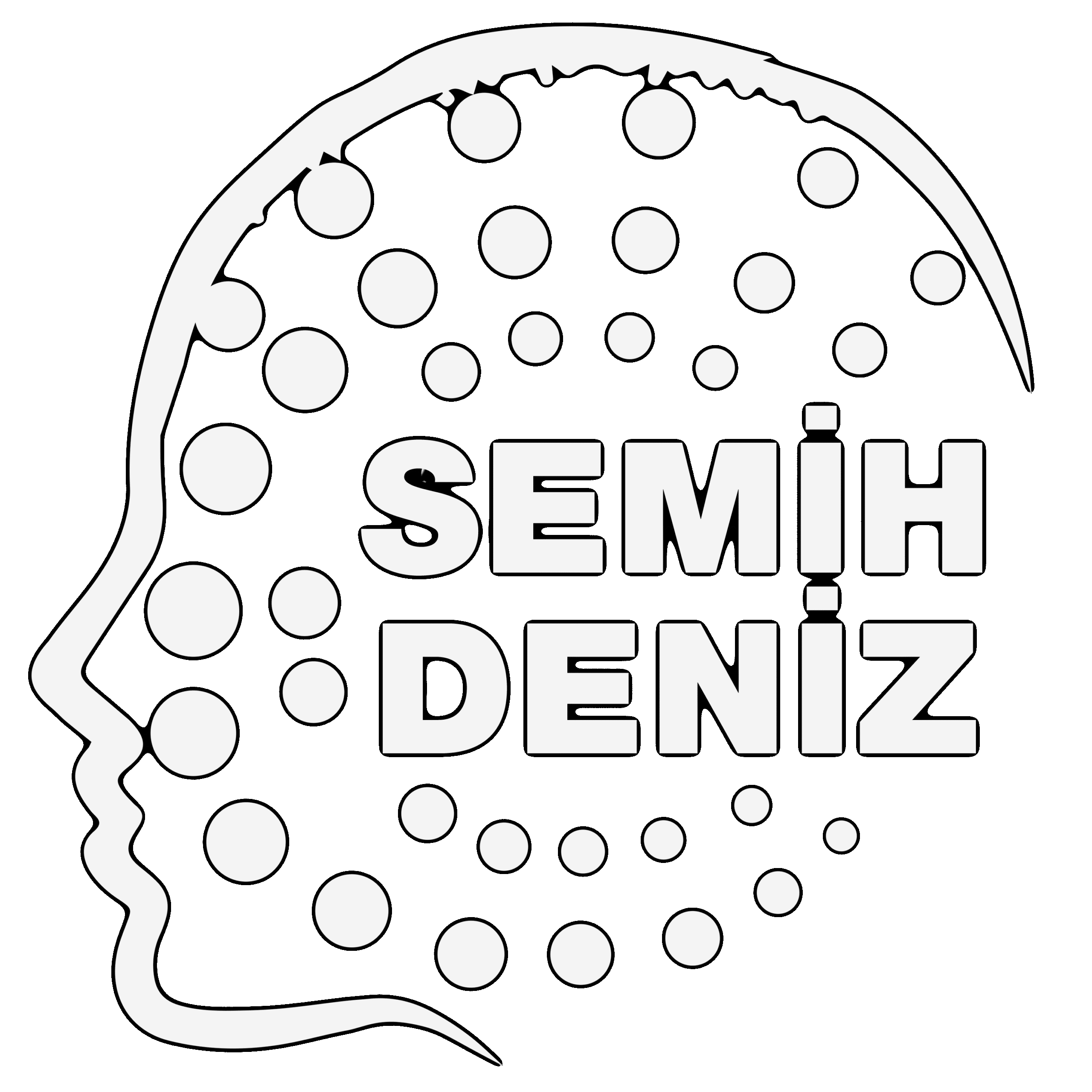Saç simulasyon